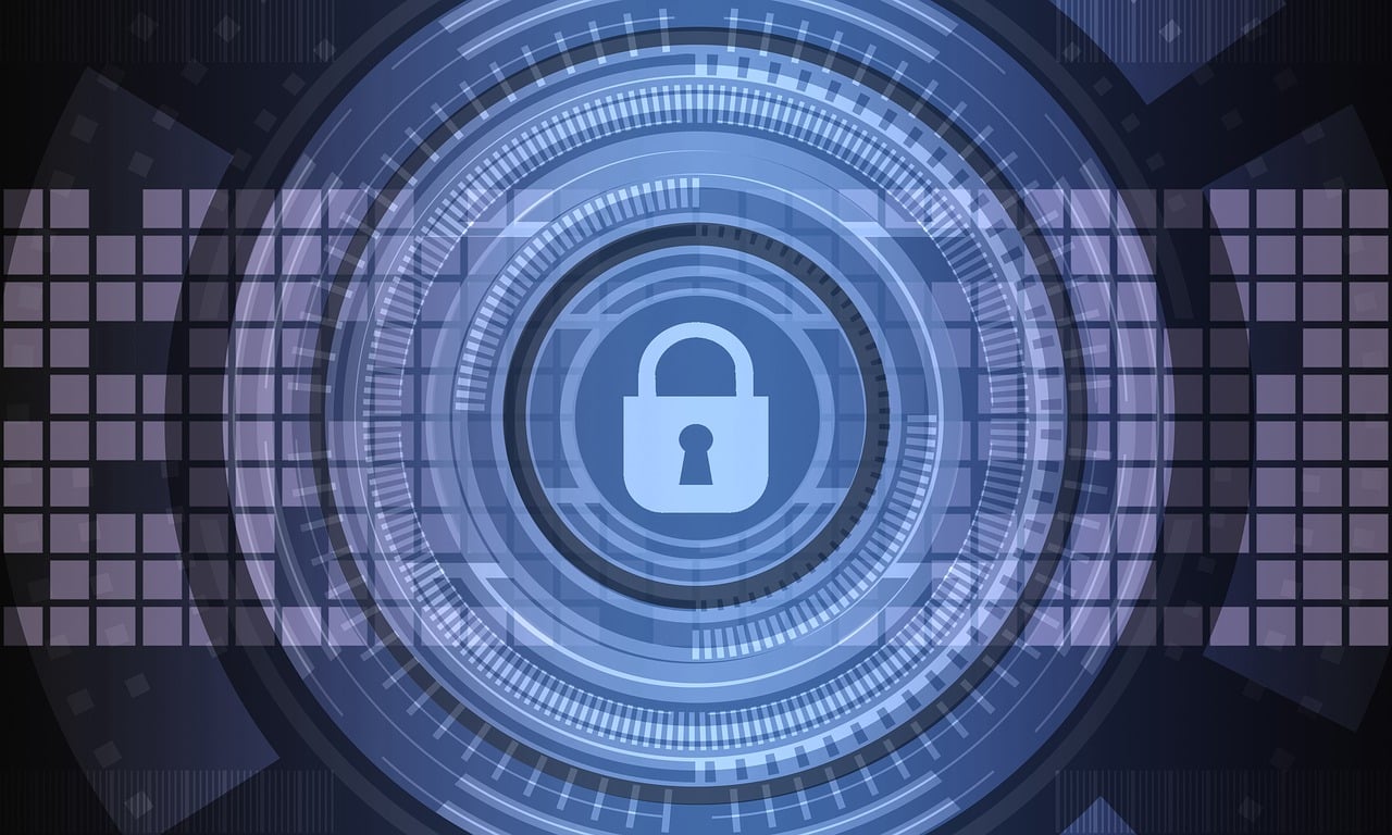 cyber security  information security  data privacy